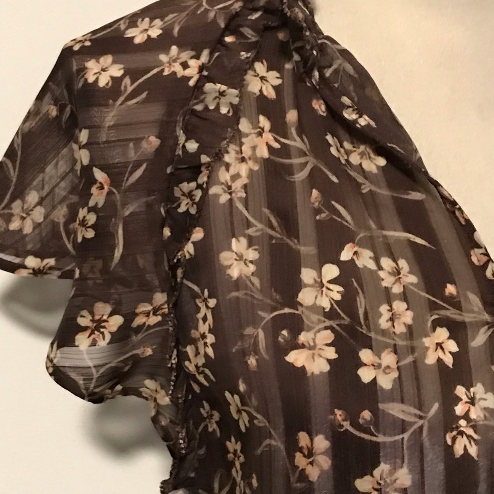 Sheer Blouse - Picture 4 of 5